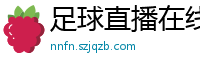 足球直播在线直播观看免费直播吧